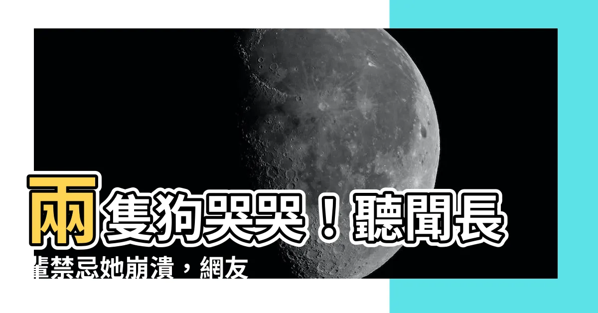 【兩隻狗 哭】兩隻狗哭哭！聽聞長輩禁忌她崩潰，網友神回讓她瞬間釋懷
