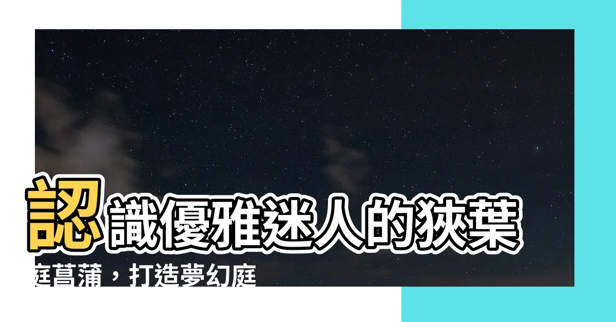 【狹葉庭菖蒲】認識優雅迷人的狹葉庭菖蒲，打造夢幻庭園風景