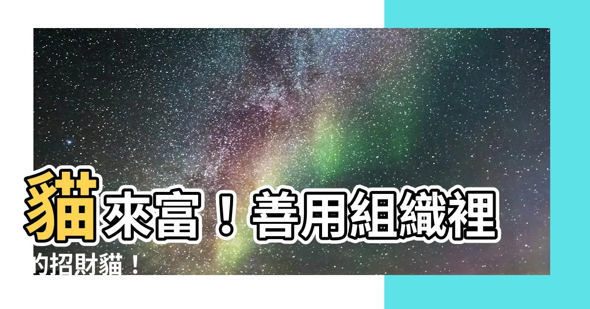 【貓來富】貓來富！善用組織裡的招財貓！