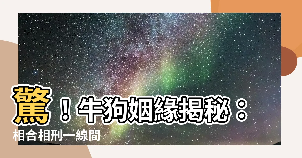【牛狗婚姻】驚！牛狗姻緣揭秘：相合相刑一線間