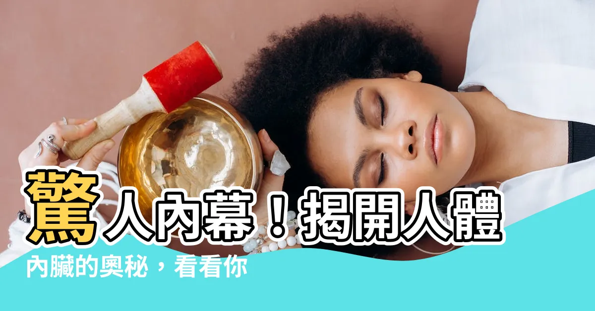 【內臟有哪些】驚人內幕！揭開人體內臟的奧秘，看看你的身體裡藏著什麼