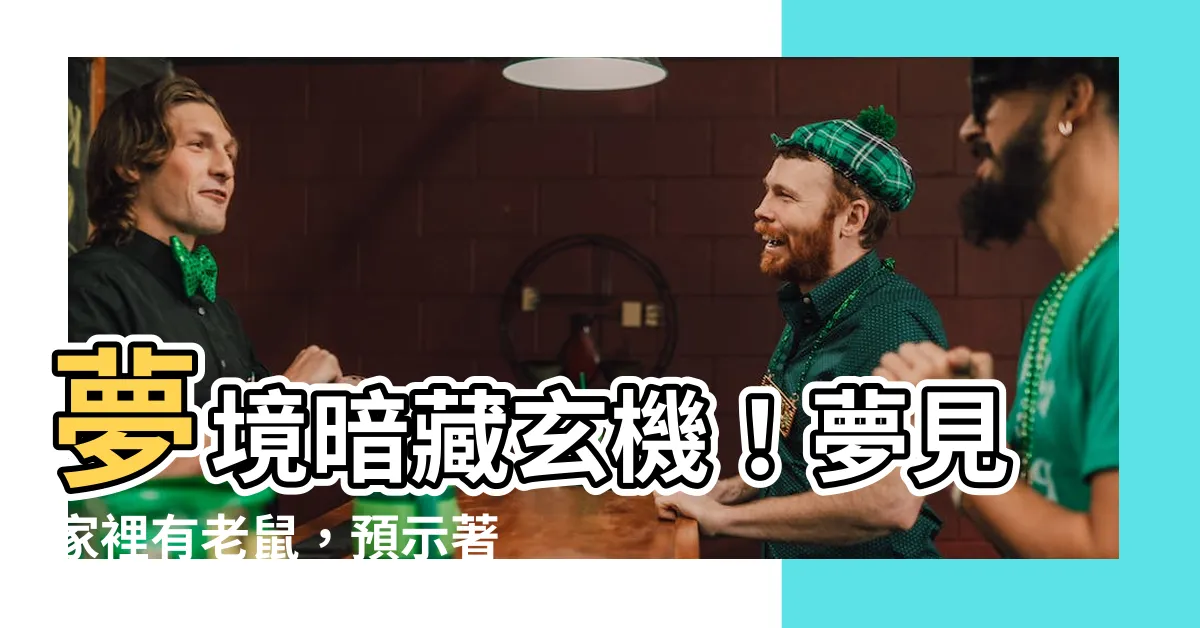 【夢見家裡有老鼠】夢境暗藏玄機！夢見家裡有老鼠，預示著什麼？