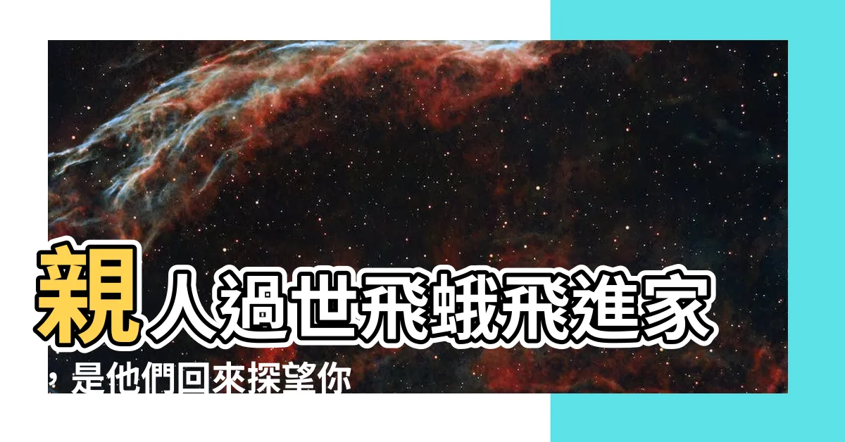 【親人過世飛蛾】親人過世飛蛾飛進家，是他們回來探望你？揭密「兩凶兆」預示！