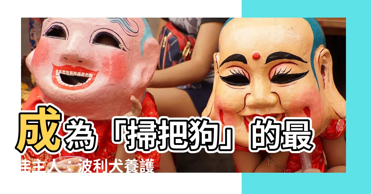 【掃把狗】成為「掃把狗」的最佳主人：波利犬養護指南