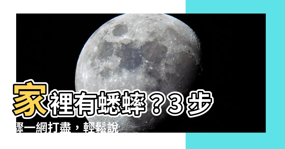【家裡有蟋蟀怎麼辦】家裡有蟋蟀？3 步驟一網打盡，輕鬆説掰掰！