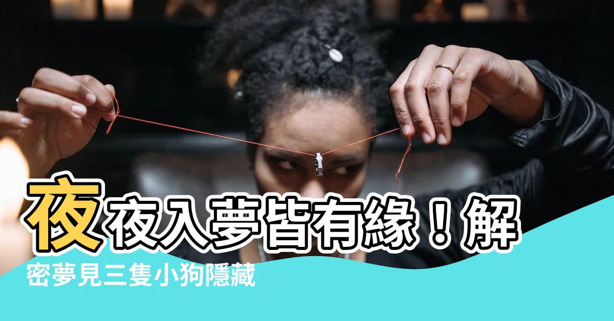 【夢見三隻小狗】夜夜入夢皆有緣！解密夢見三隻小狗隱藏的驚人寓意！