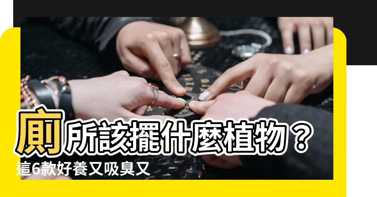 【廁所要放什麼植物】廁所該擺什麼植物？這6款好養又吸臭又吸甲醛