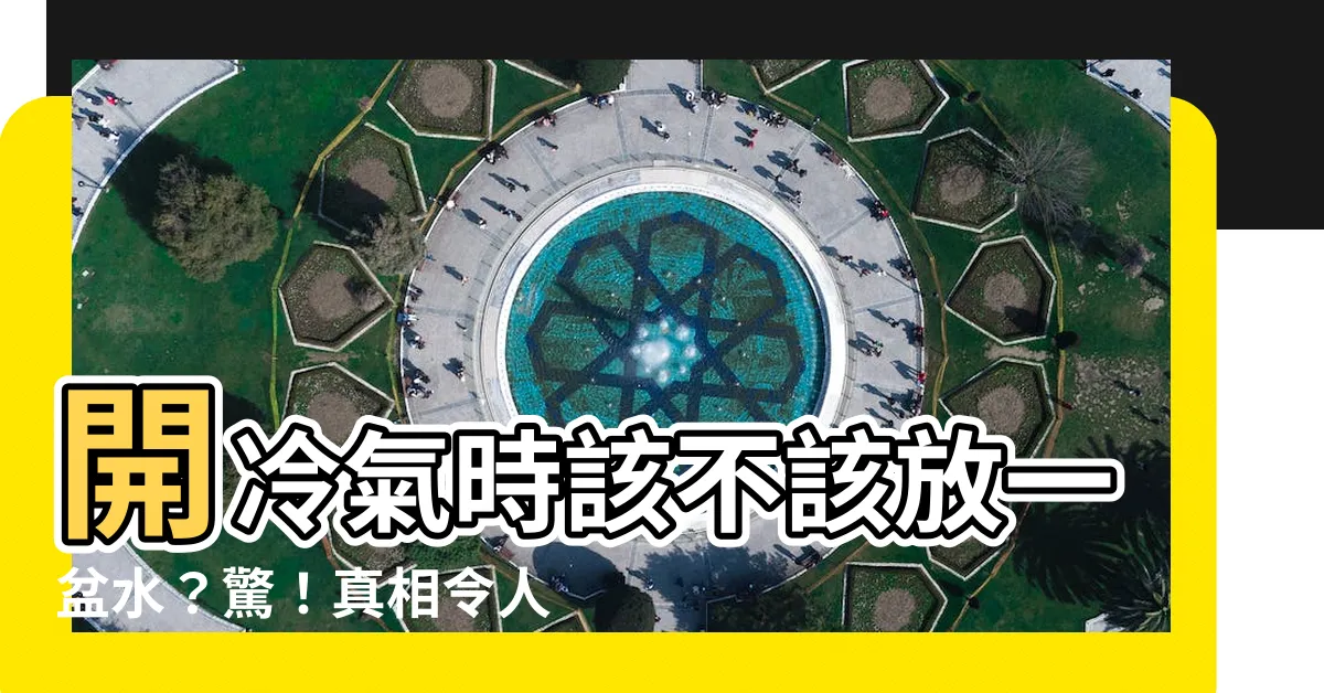 【開冷氣放一盆水】開冷氣時該不該放一盆水？驚！真相令人大吃一驚