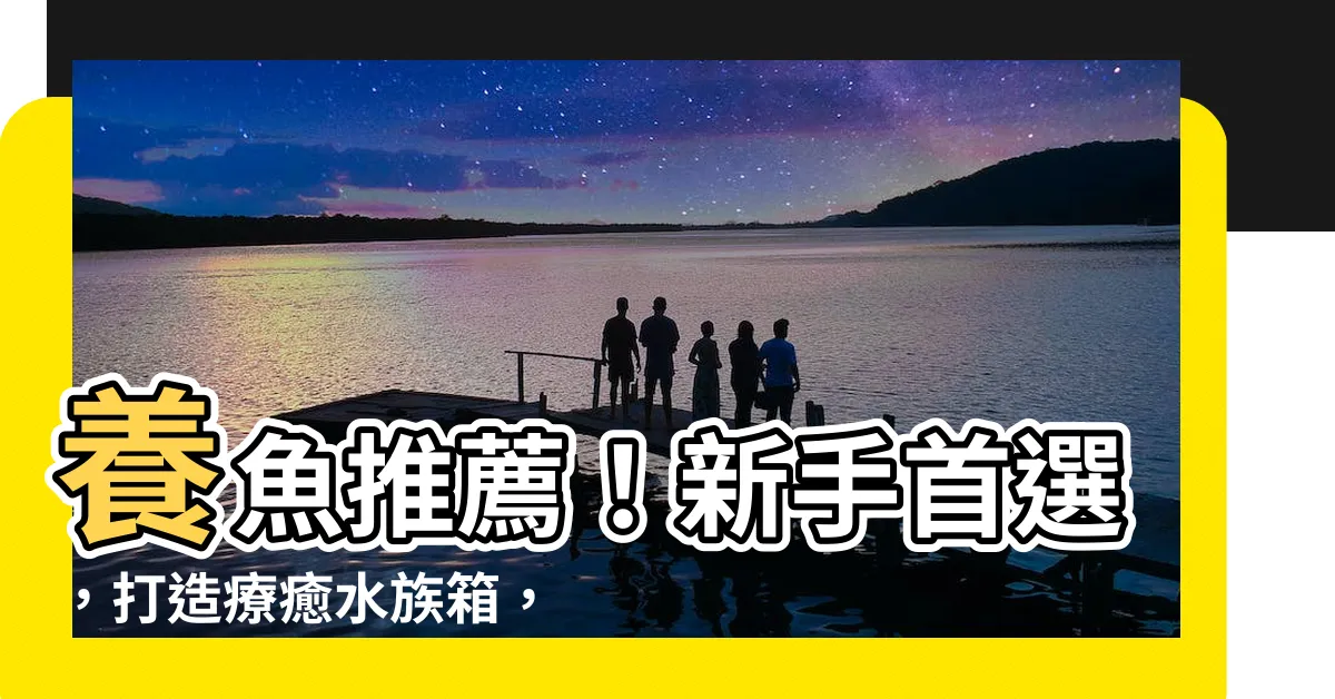【養魚推薦】養魚推薦！新手首選，打造療癒水族箱，魚兒更舒適