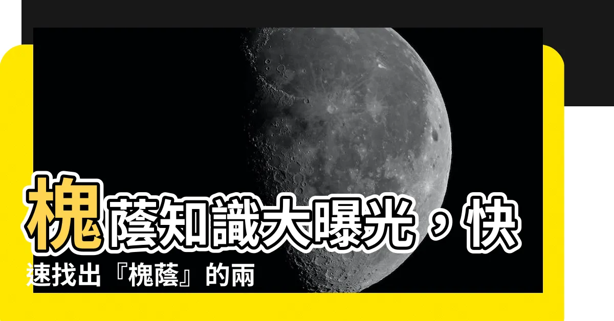 【槐蔭意思】槐蔭知識大曝光，快速找出『槐蔭』的兩種意思！