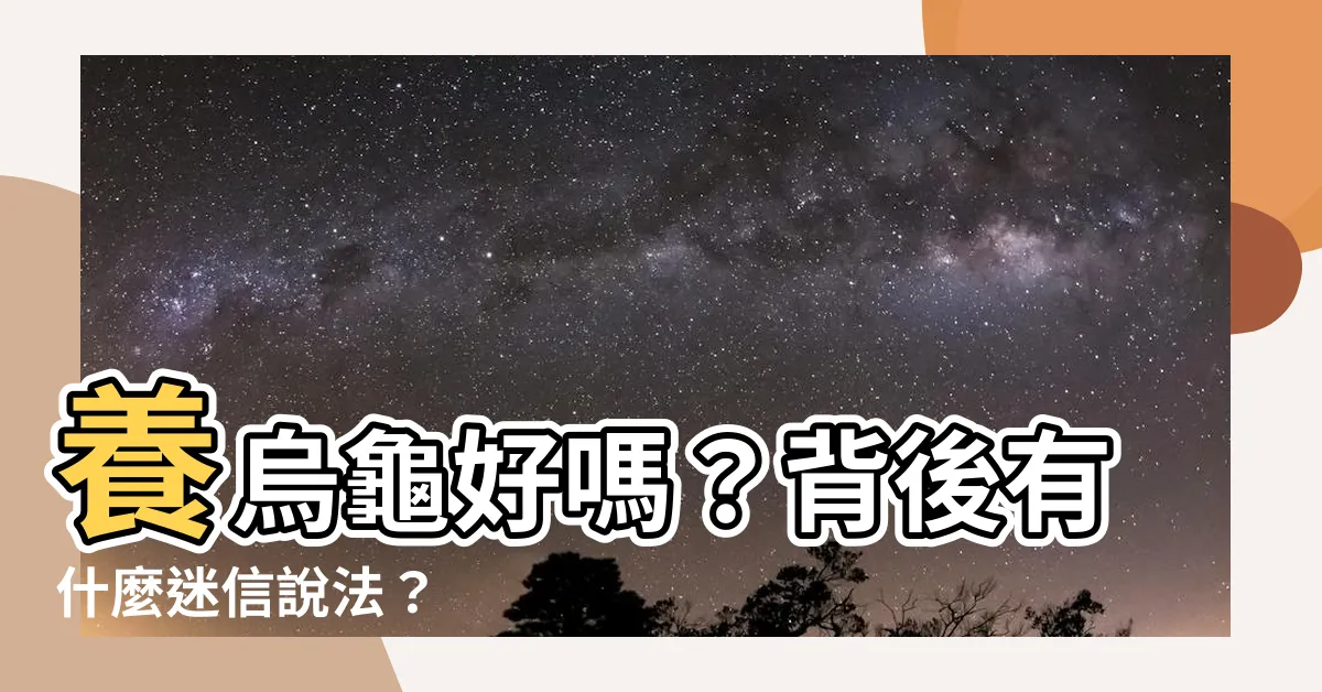 【養烏龜好嗎】養烏龜好嗎？背後有什麼迷信説法？