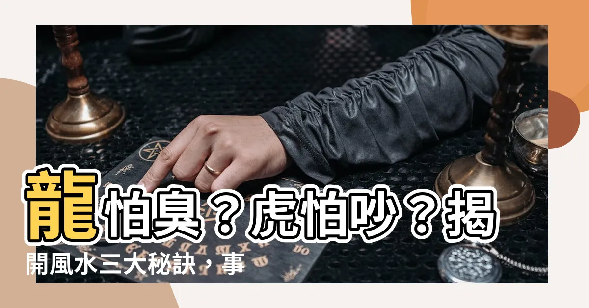 【龍怕臭虎怕吵】龍怕臭？虎怕吵？揭開風水三大秘訣，事業輕鬆加分！