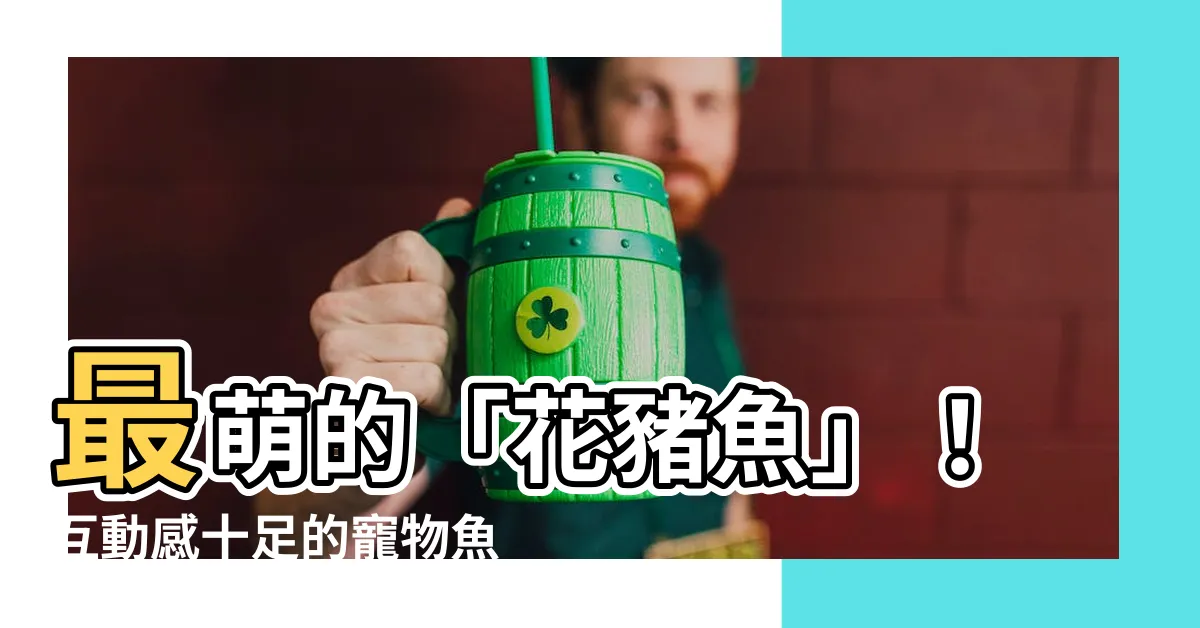 【花豬魚】最萌的「花豬魚」！互動感十足的寵物魚，讓你養魚不孤單