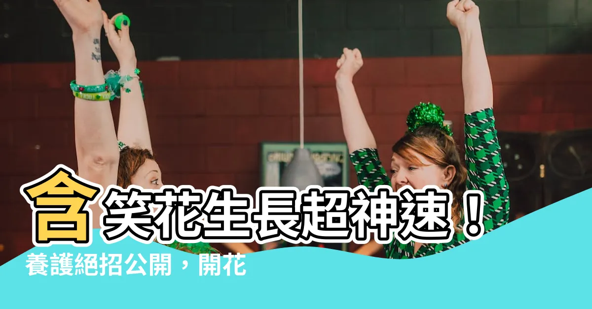 【含笑花生長速度】含笑花生長超神速！養護絕招公開，開花香又多！