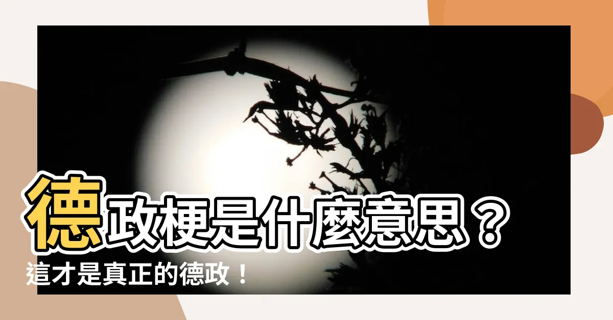 【德政梗意思】德政梗是什麼意思？這才是真正的德政！