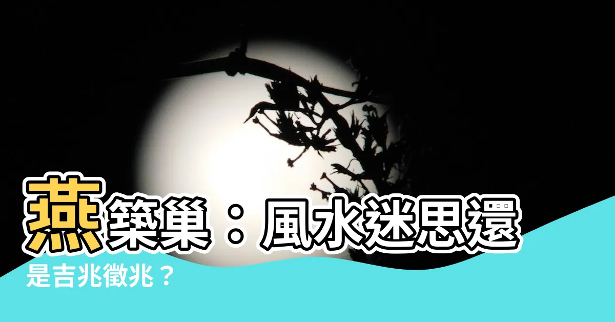 【燕築巢】燕築巢：風水迷思還是吉兆徵兆？