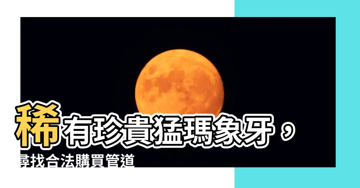 【猛瑪象牙】稀有珍貴猛瑪象牙，尋找合法購買管道
