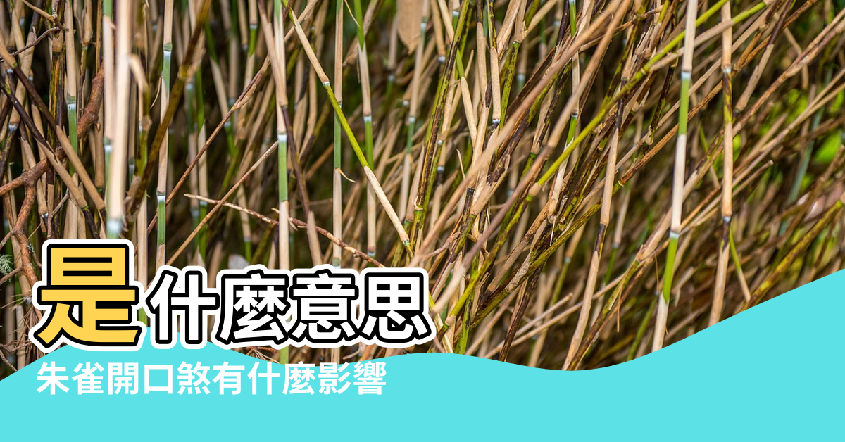 【風水朱雀開口啥意思】是什麼意思 |朱雀開口煞有什麼影響 |家敗人散 |