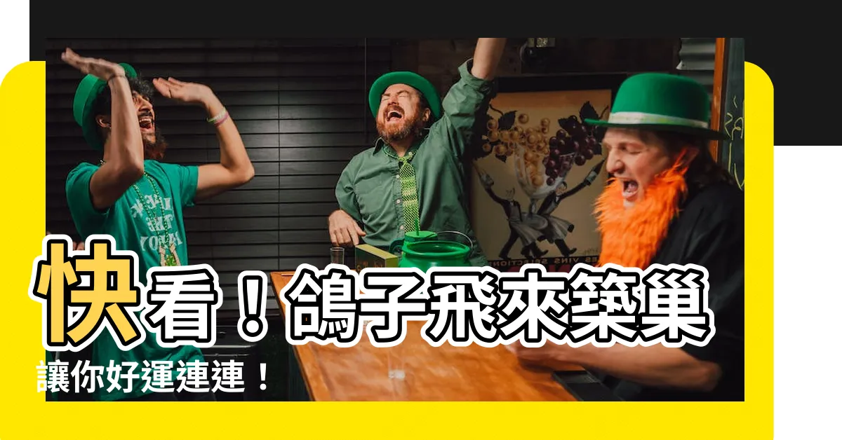 【鴿子飛到家裡代表什麼】快看！鴿子飛來築巢讓你好運連連！