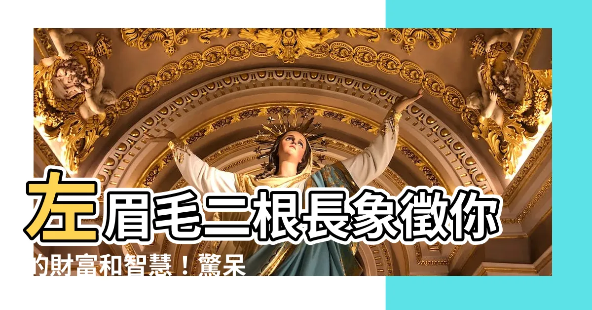 【左眉毛二根長】左眉毛二根長象徵你的財富和智慧！驚呆了！