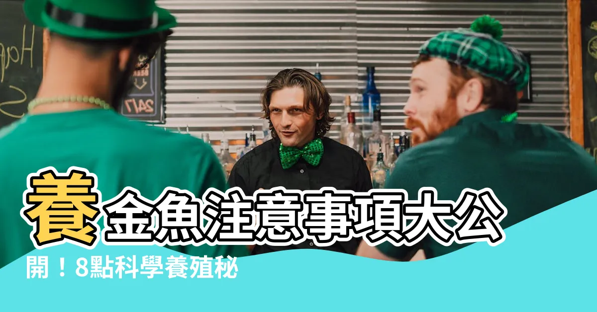 【養金魚注意事項】養金魚注意事項大公開！8點科學養殖秘訣揭曉
