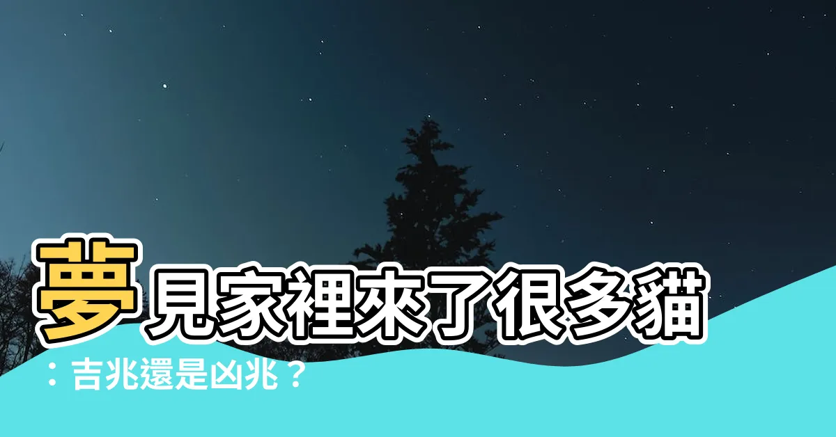【夢見家裡來了很多貓】夢見家裡來了很多貓：吉兆還是凶兆？