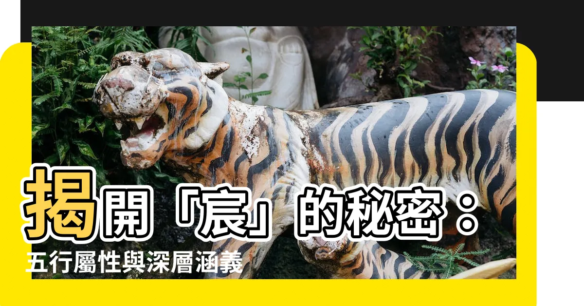【宸五行】揭開「宸」的秘密：五行屬性與深層涵義