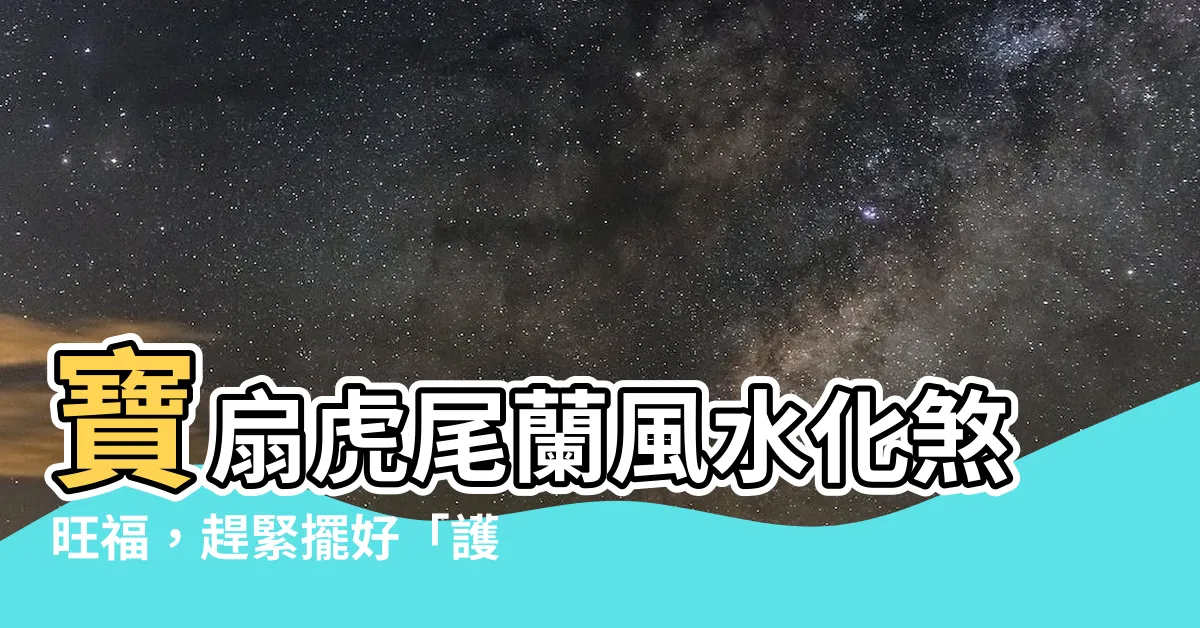 【寶扇虎尾蘭風水】寶扇虎尾蘭風水化煞旺福，趕緊擺好「護宅生財」！