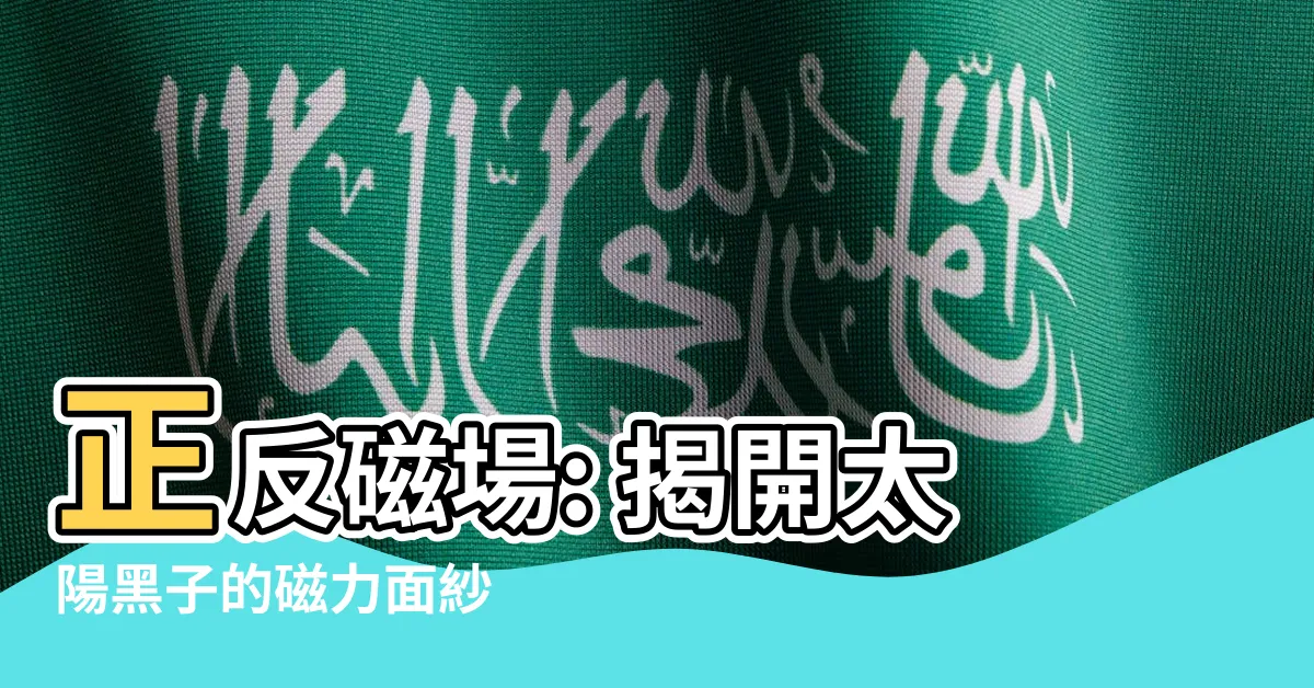 【正磁場 反磁場】正反磁場: 揭開太陽黑子的磁力面紗