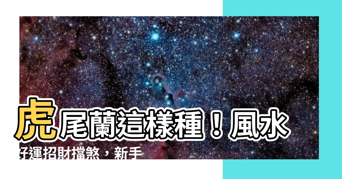 【虎尾蘭種植】虎尾蘭這樣種！風水好運招財擋煞，新手必學養護指南