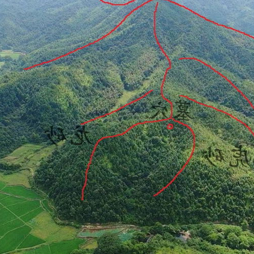 4、風水左中藍龍的頭朝向哪個方向有利