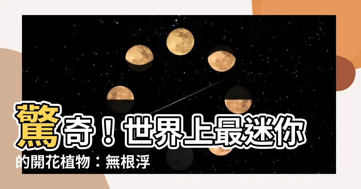 【無根浮萍】驚奇！世界上最迷你的開花植物：無根浮萍，僅有0.3毫米！