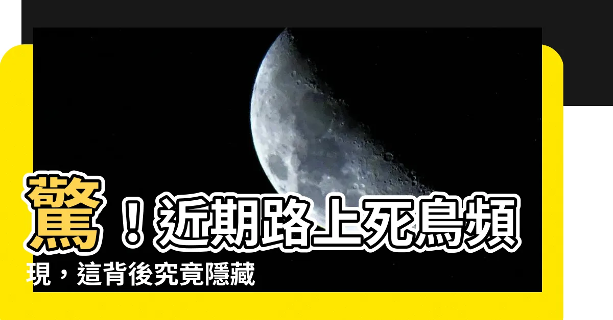 【路上看到死鳥】驚！近期路上死鳥頻現，這背後究竟隱藏著什麼樣的玄機？