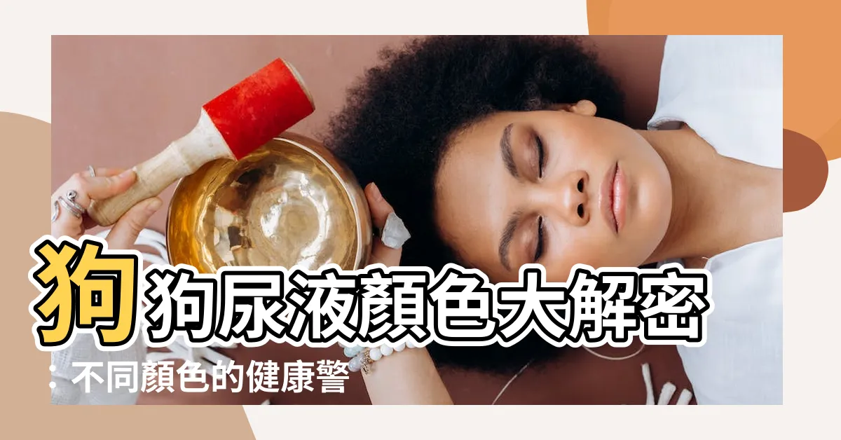 【狗狗尿液顏色】狗狗尿液顏色大解密：不同顏色的健康警示！