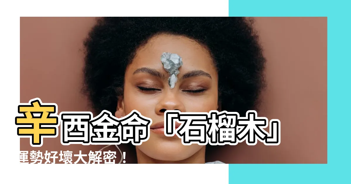 【辛酉 納音】辛酉金命「石榴木」運勢好壞大解密！