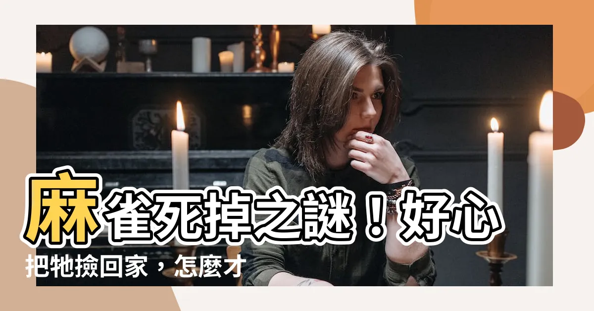 【麻雀死掉】麻雀死掉之謎！好心把牠撿回家，怎麼才幾天就嗚呼哀哉？