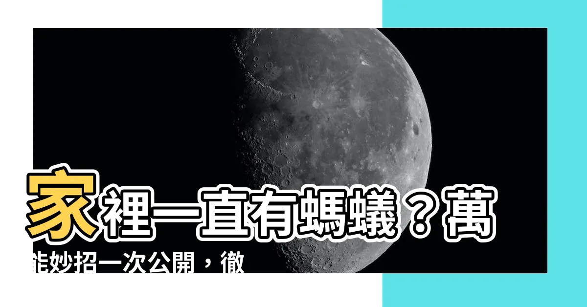 【一直有螞蟻】家裡一直有螞蟻？萬能妙招一次公開，徹底驅逐煩人螞蟻