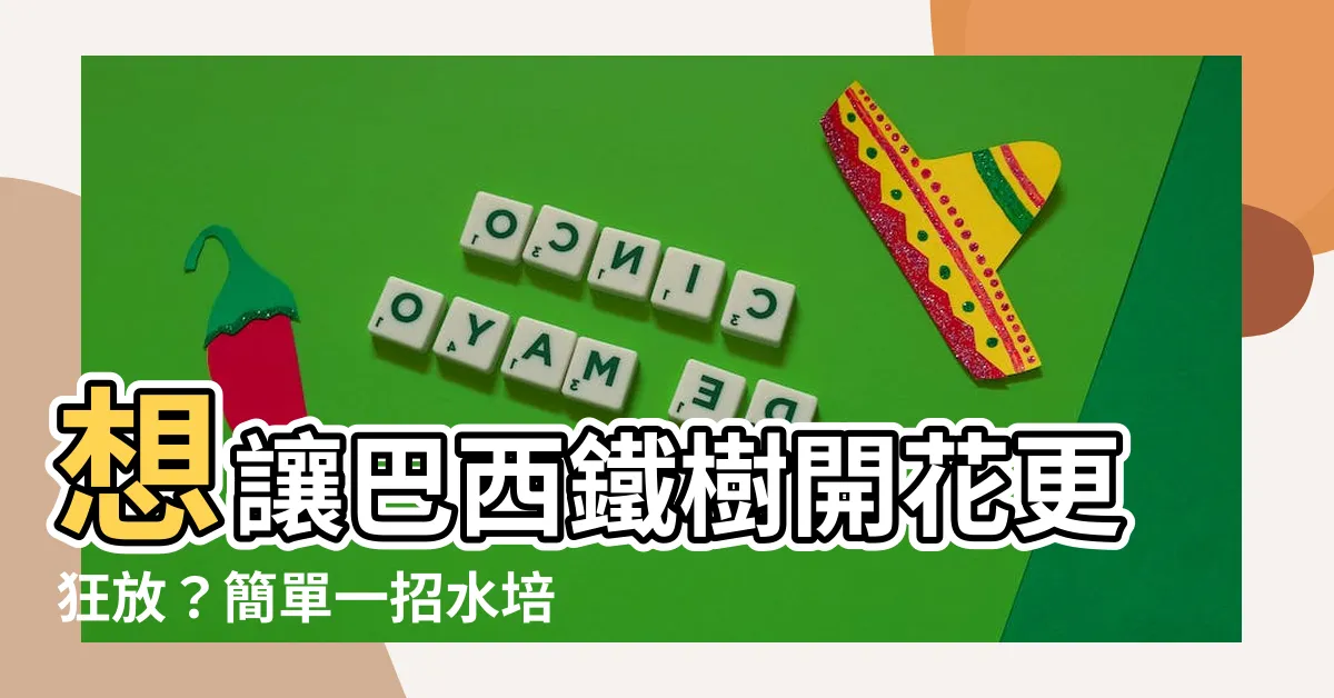 【巴西鐵樹水培】想讓巴西鐵樹開花更狂放？簡單一招水培就搞定！