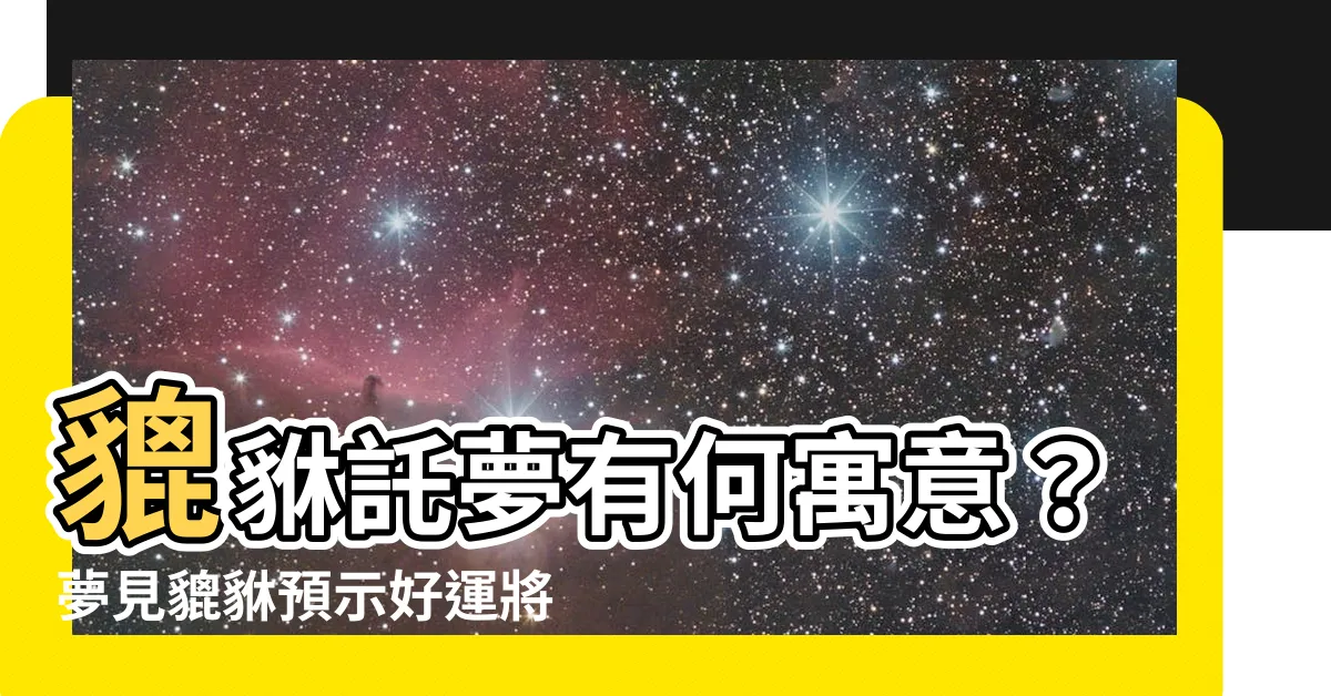 【夢見貔貅】貔貅託夢有何寓意？夢見貔貅預示好運將至！