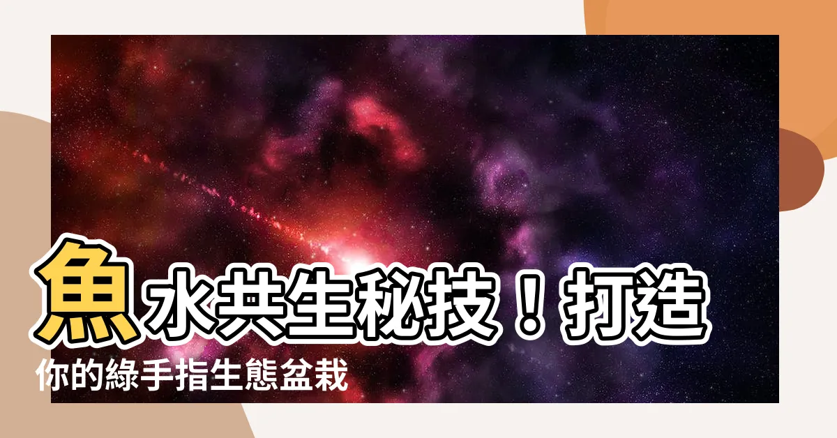 【魚水共生盆栽】魚水共生秘技！打造你的綠手指生態盆栽！