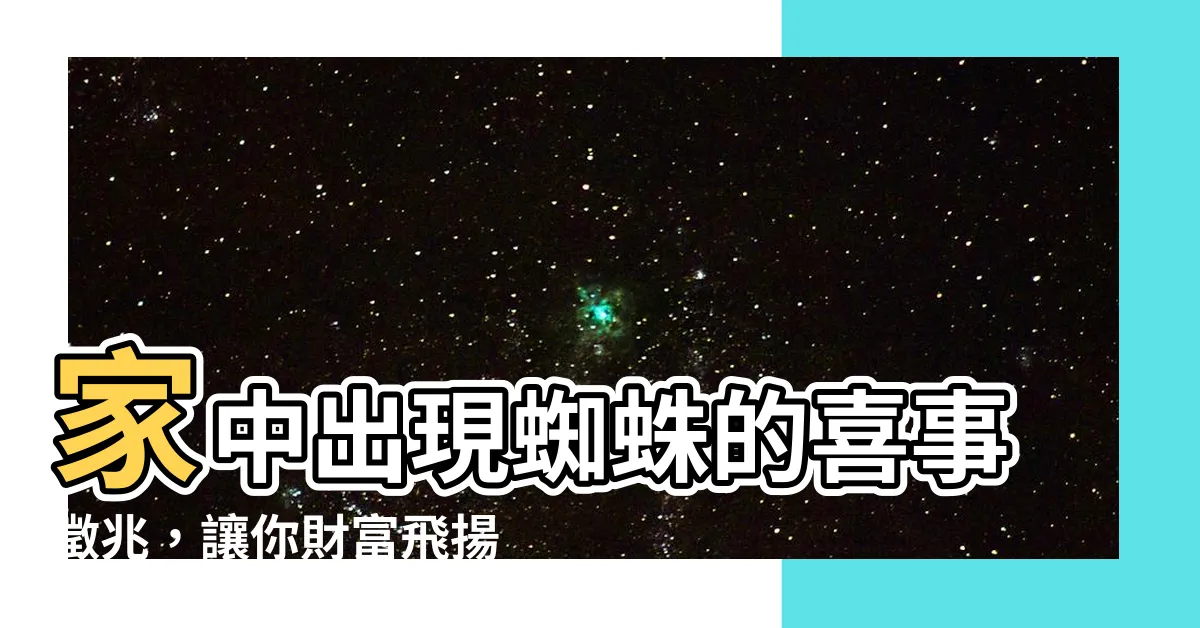 【出現蜘蛛】家中出現蜘蛛的喜事徵兆，讓你財富飛揚！