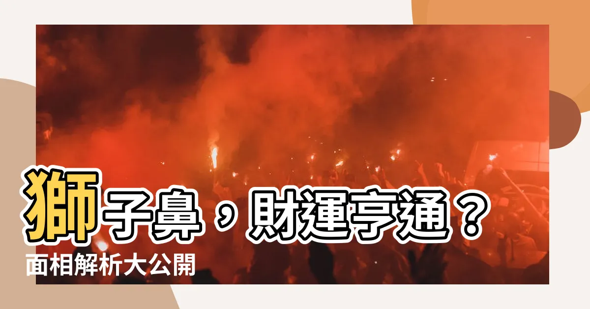 【獅子鼻 面相】獅子鼻，財運亨通？面相解析大公開