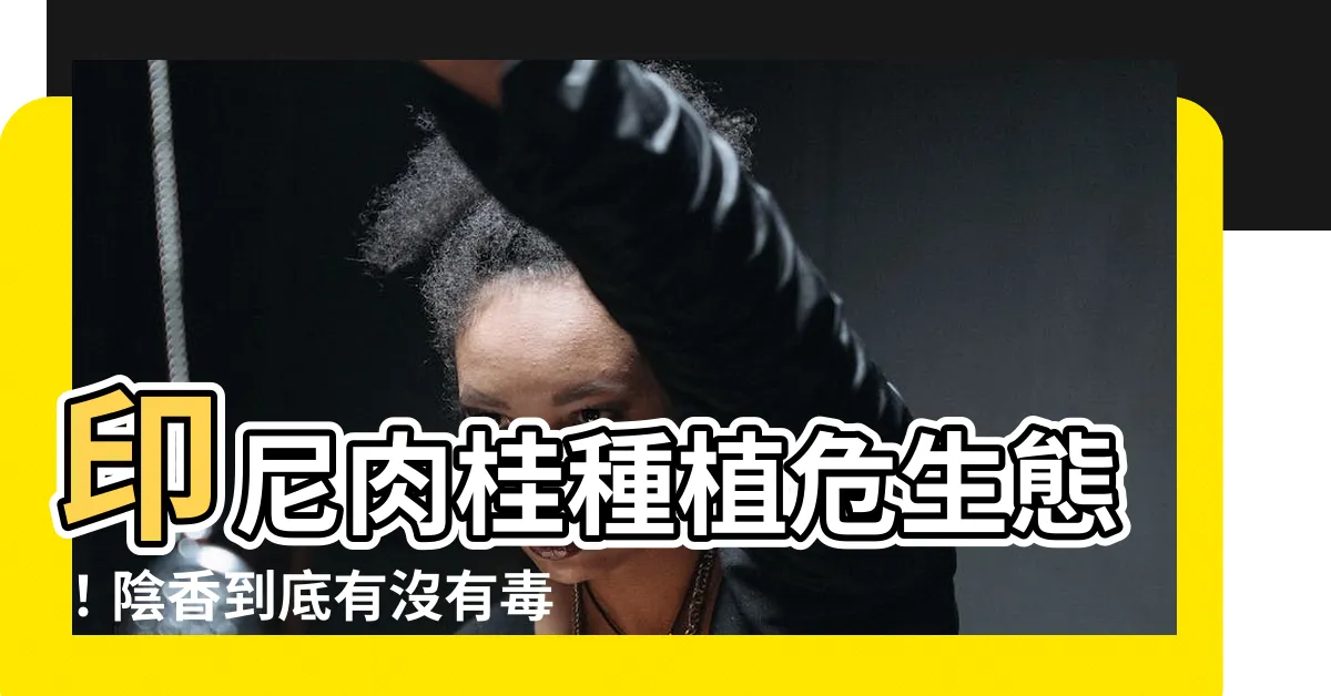 【陰香有毒嗎】印尼肉桂種植危生態！陰香到底有沒有毒？專家分析給你聽
