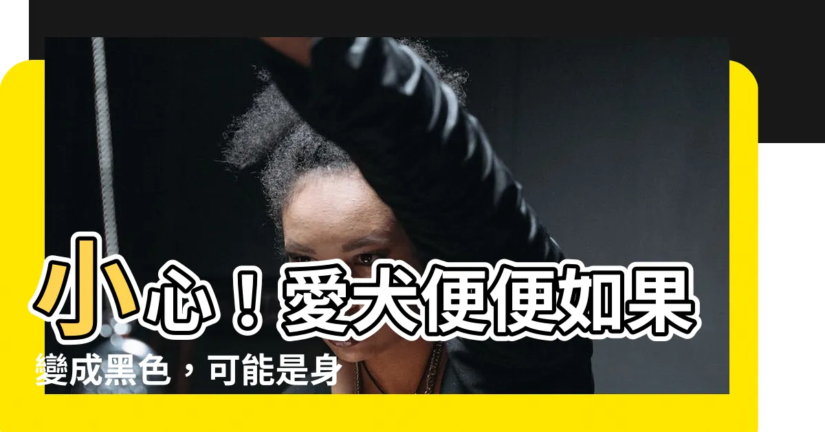 【狗 黑色大便】小心！愛犬便便如果變成黑色，可能是身體出大事了…