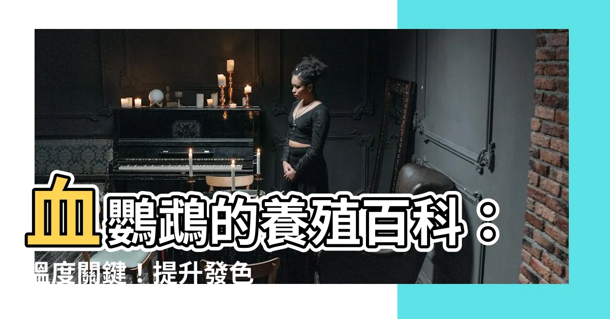 【血鸚鵡温度】血鸚鵡的養殖百科：温度關鍵！提升發色、助長成長