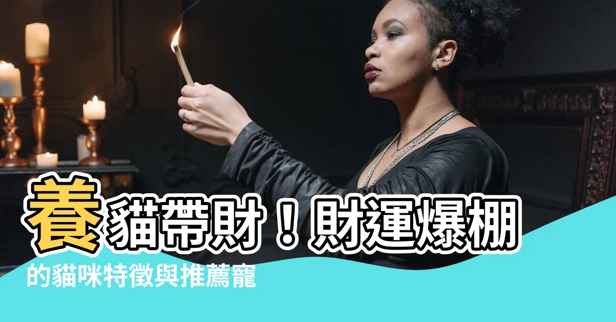 【養貓帶財】養貓帶財！財運爆棚的貓咪特徵與推薦寵物招財秘笈