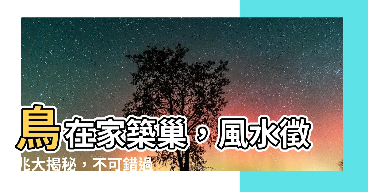 【鳥在家築巢】鳥在家築巢，風水徵兆大揭秘，不可錯過！