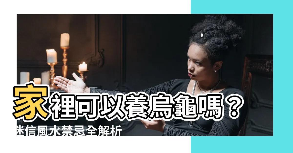 【家裡可以養烏龜嗎】家裡可以養烏龜嗎？迷信風水禁忌全解析，讓你養得安心又招財