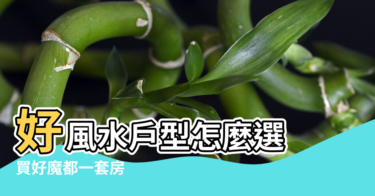 【很多人通過戶型看風水】好風水戶型怎麼選 |買好魔都一套房 |這九種不能要 |