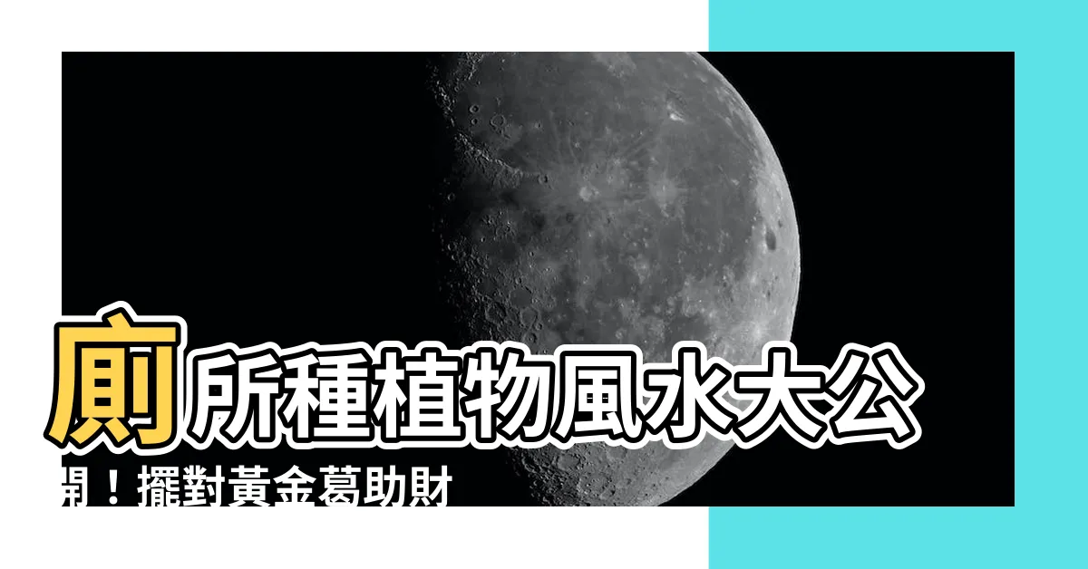 【廁所種植物風水】廁所種植物風水大公開！擺對黃金葛助財旺運